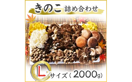 きのこの詰め合わせ　Lサイズ(2.000g) (AU002)
