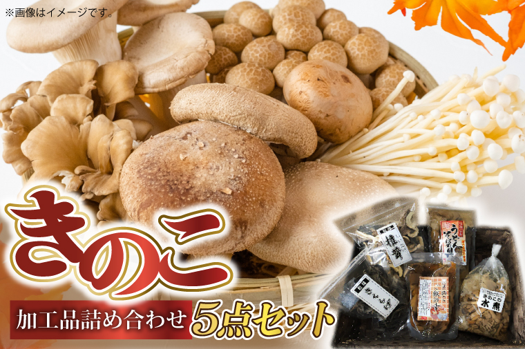 きのこ加工品詰め合わせ5点セット (AU003)