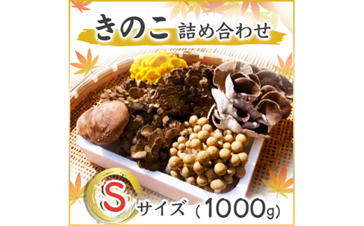 きのこの詰め合わせSサイズ(1000g) (AU004)