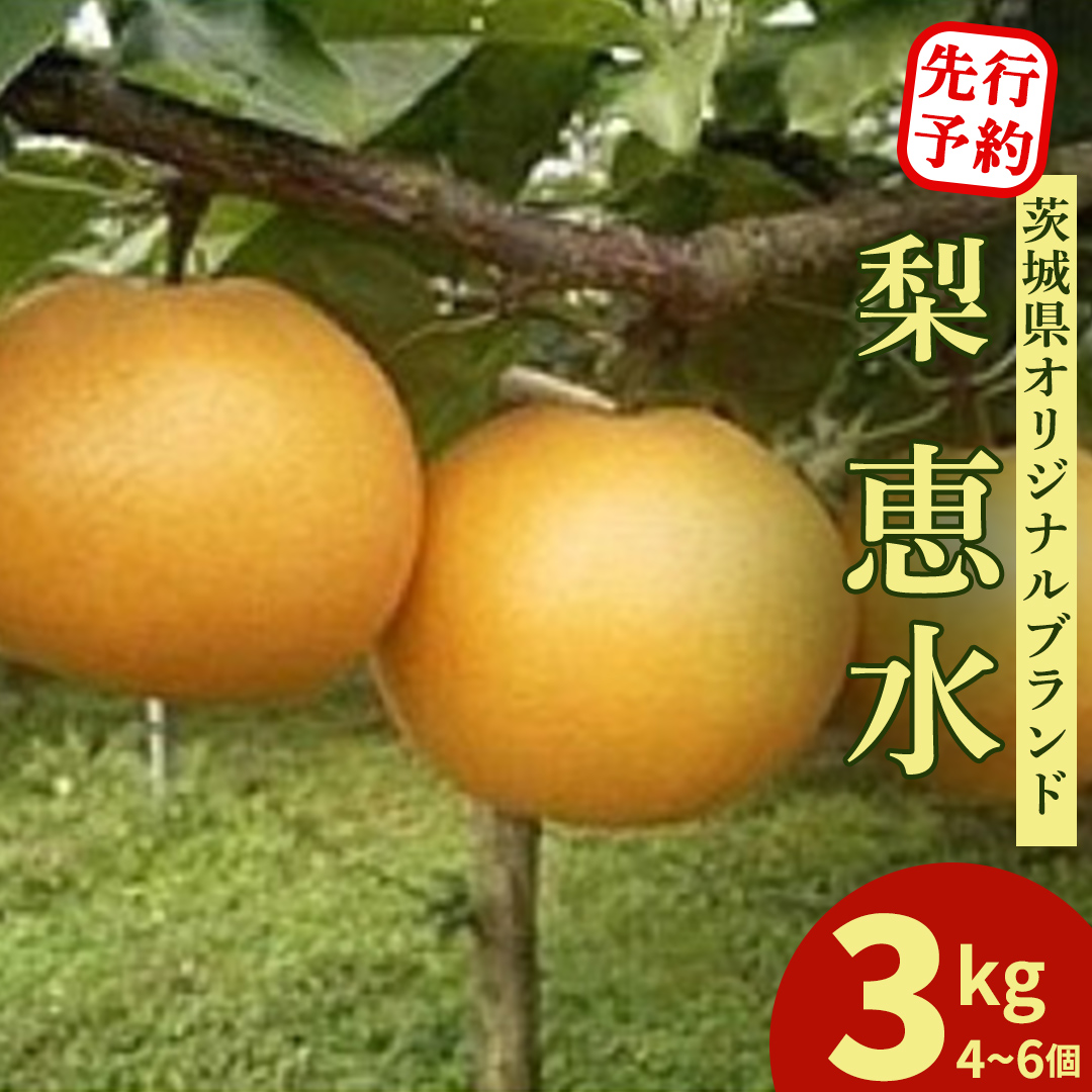 ＜農家直送＞梨 茨城県オリジナルブランド品種 恵水 大玉