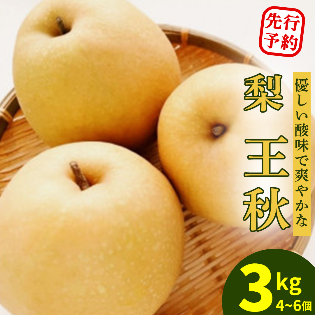 ＜農家直送＞梨 王秋 4～6個(約3kg) 先行予約 2026年発送 完熟 