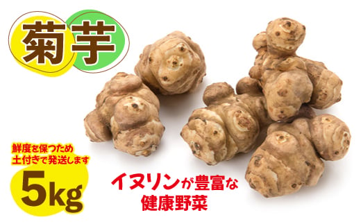 菊芋(きくいも)健康野菜5kg (BJ016)
