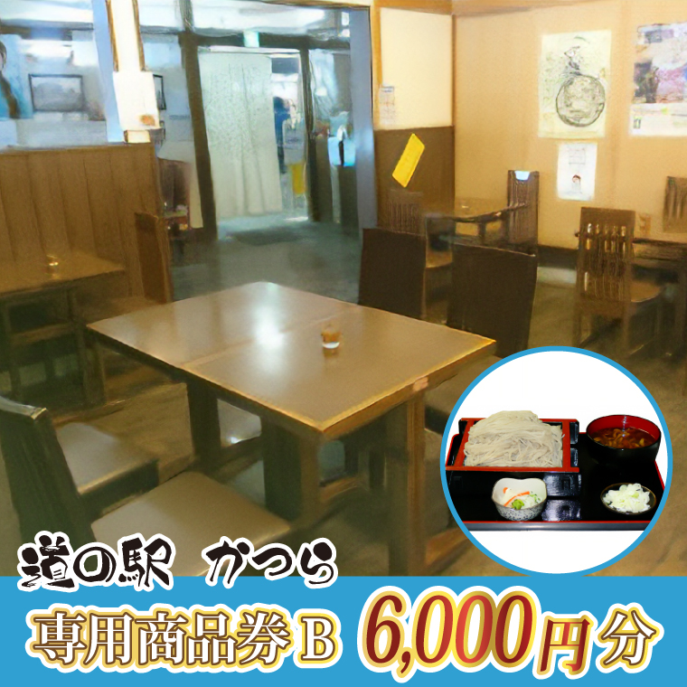 道の駅かつら専用商品券B　6,000円分(500円×12枚のセット) (AF0