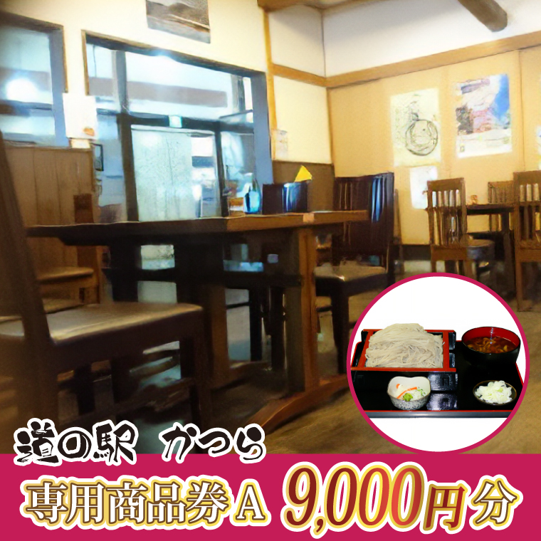 道の駅かつら専用商品券C　9000円分(500円券×18枚セット) (AF00