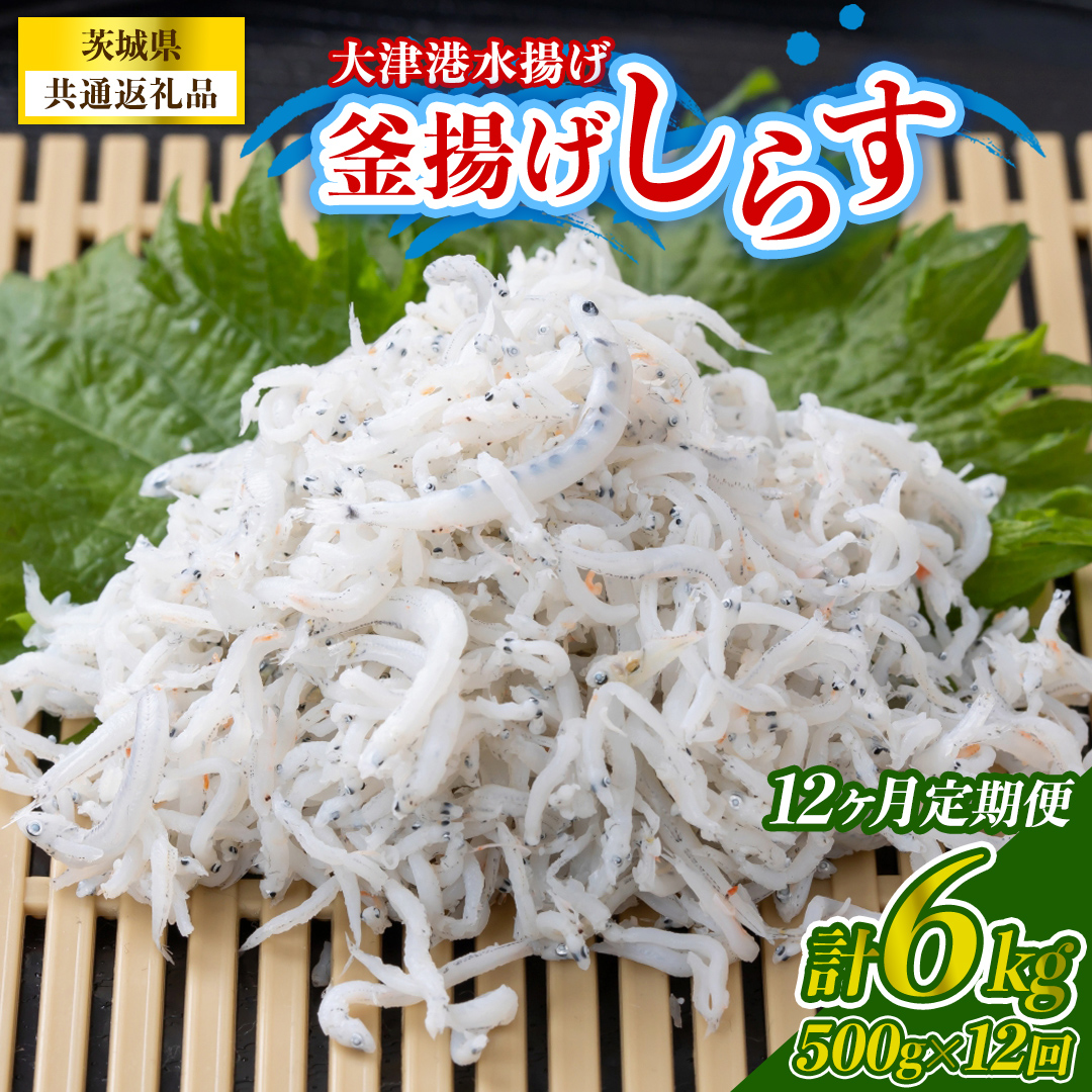 【12回定期便】大津港水揚げの釜揚げしらす 500g(250g×2パッ