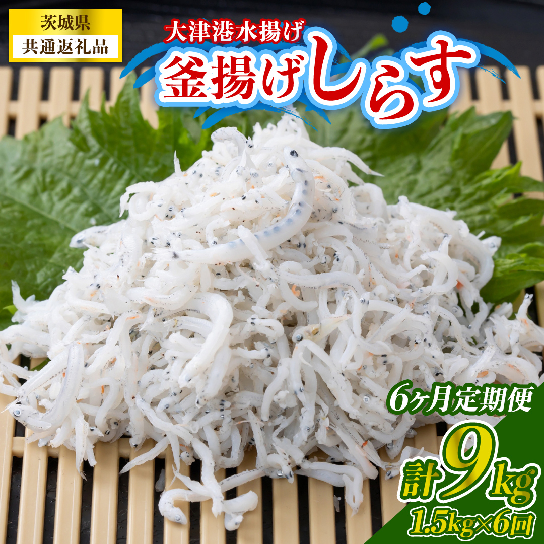 【6回定期便】大津港水揚げの釜揚げしらす 1.5kg(250g×2パッ