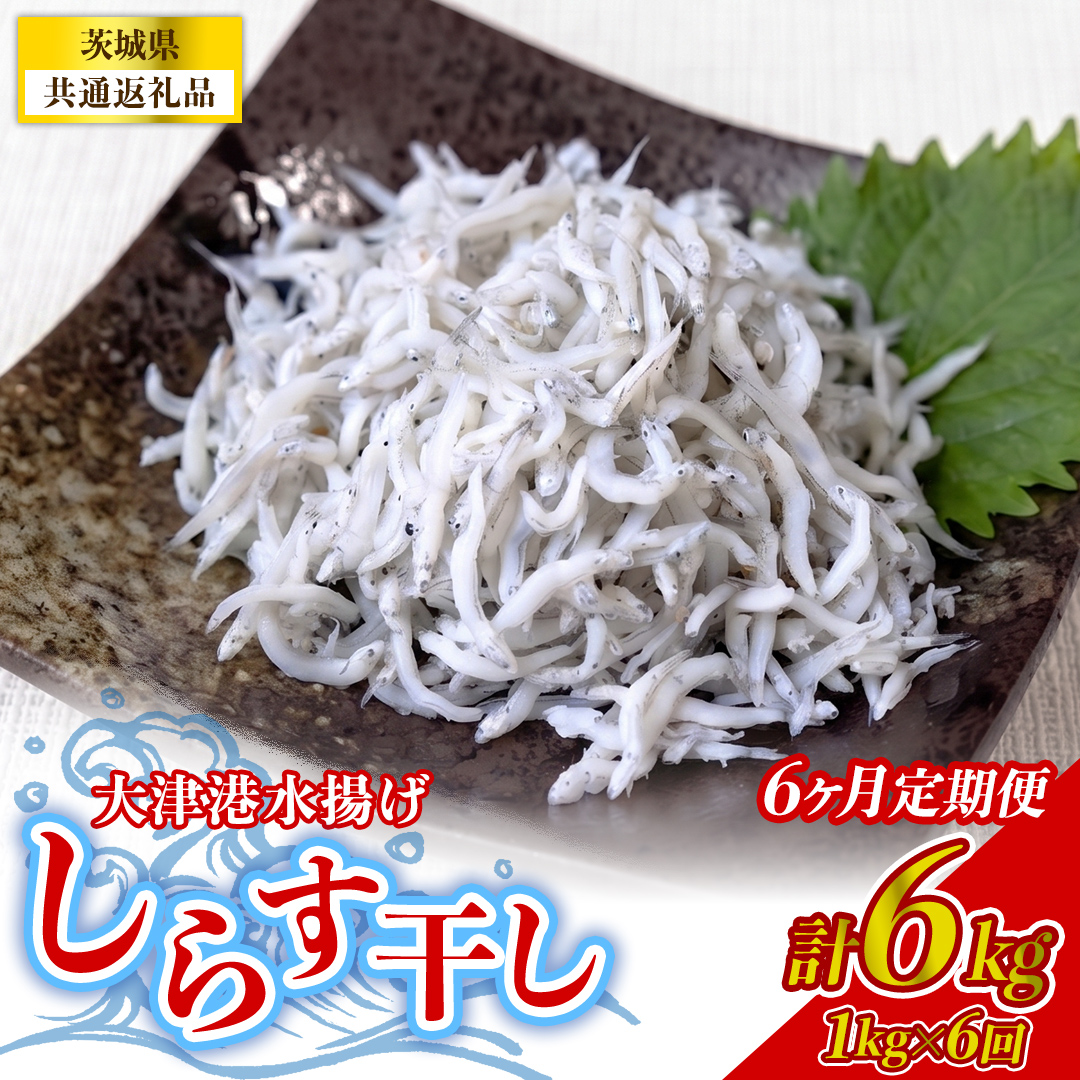 【6回定期便】大津港水揚げしらす干し 1kg(250g×2パック×2箱)
