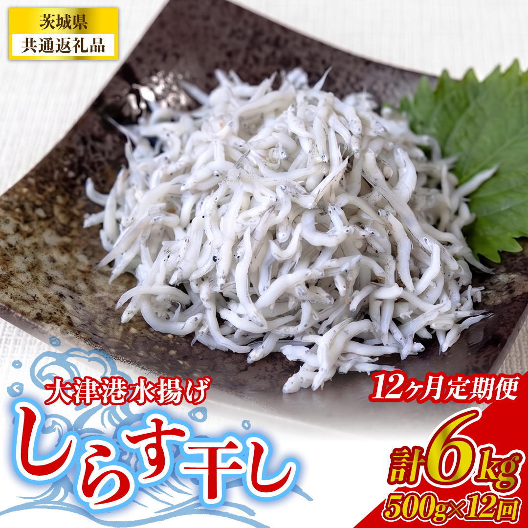 【12回定期便】大津港水揚げしらす干し 500g(250g×2パック) (