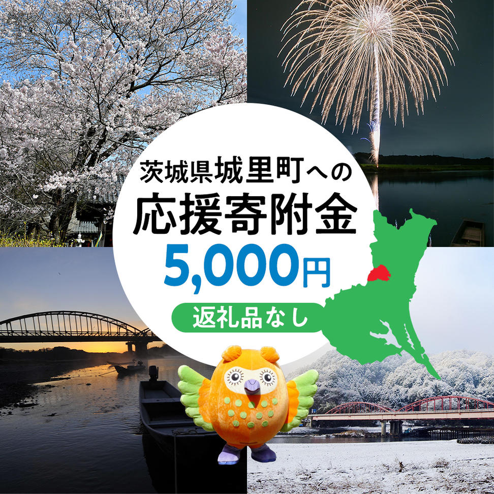 【 返礼品なし 】 茨城県 城里町 ふるさと応援寄附金 ( 5,000