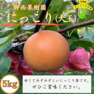 [農家直送]梨 にっこり 大玉サイズ6〜8個 (約5kg)[配送不可地域:離島]