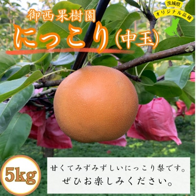 [農家直送]梨 にっこり 中玉サイズ9〜12個(約5kg)[配送不可地域:離島]