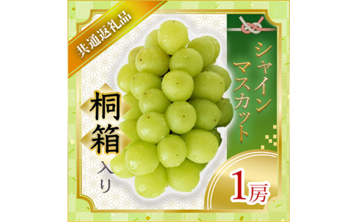 シャインマスカット 桐箱入り 1房 ＜2026年7月より順次発送