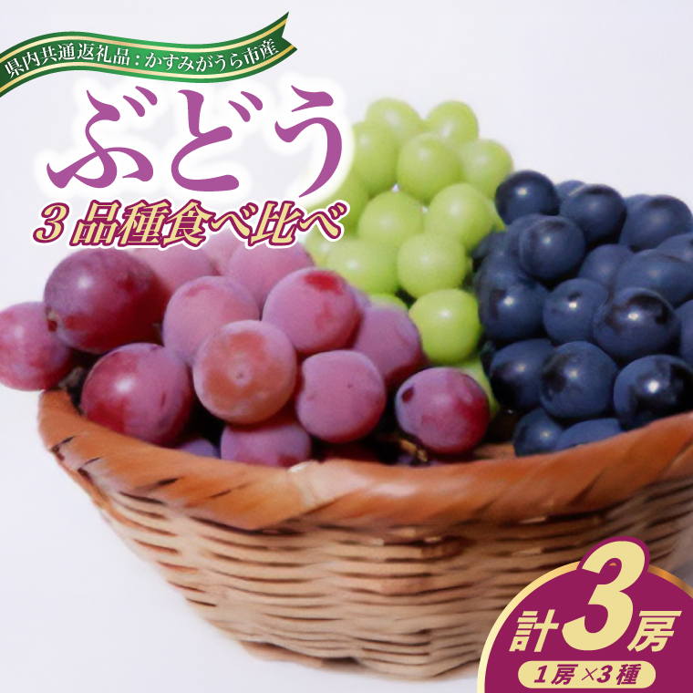 ぶどう おまかせ 3品種 食べ比べ シャインマスカット ピオ