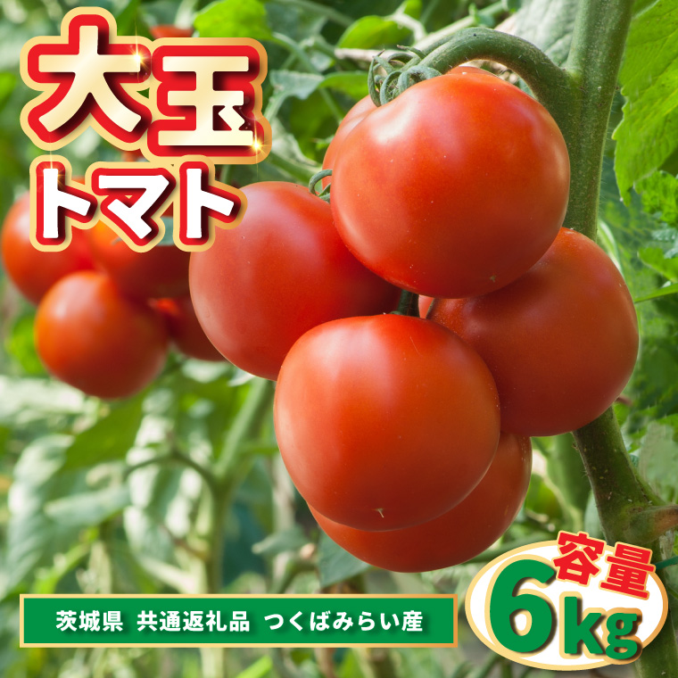 大玉トマト　6kg (県内共通返礼品:つくばみらい市産) (BR094)