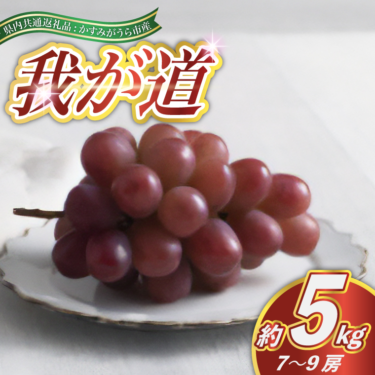 我が道 約5kg 7～9房 ＜2026年9月より順次発送予定＞ (県内共