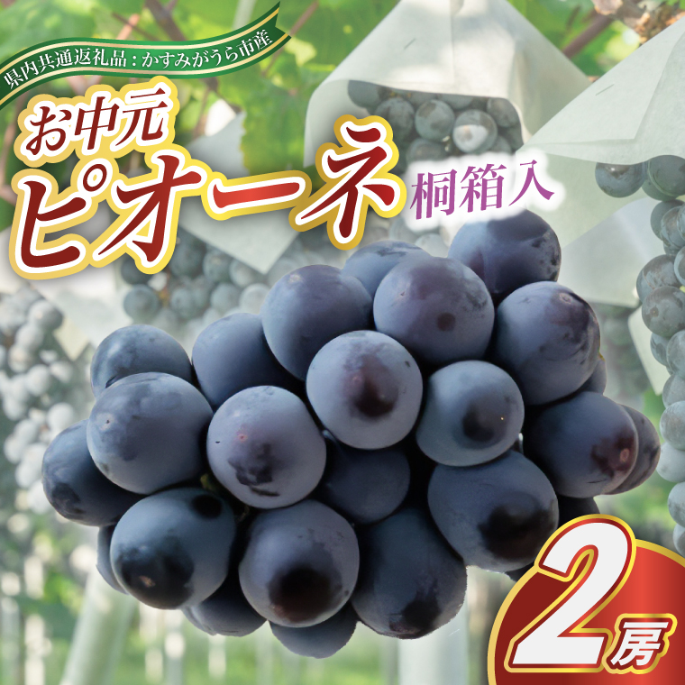 【お中元 熨斗付】 ピオーネ 桐箱入り 2房 ＜2026年8月より順