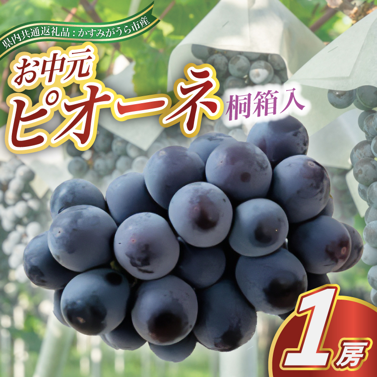【お中元 熨斗付】ピオーネ 桐箱入り 1房 ＜2026年8月より順