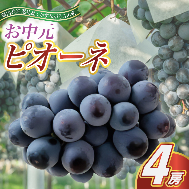 【お中元 熨斗付】 ピオーネ 4房 ＜2026年8月より順次発送＞