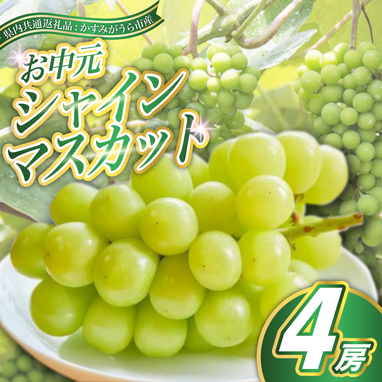 【お中元 熨斗付】 シャインマスカット 4房 ＜2026年8月より