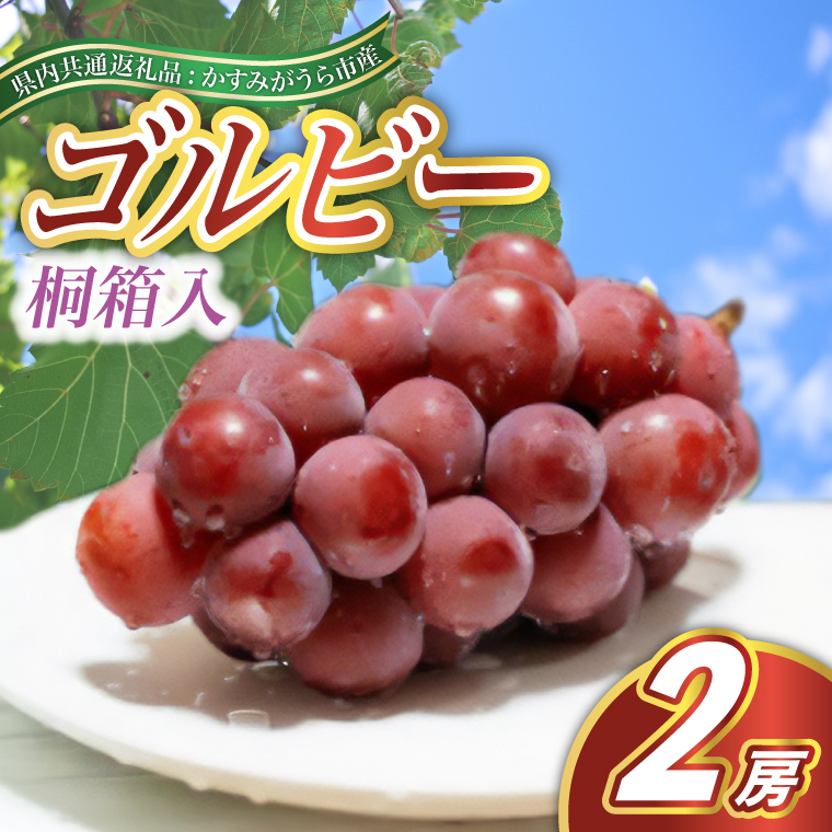 ゴルビー 桐箱入り 2房 ＜2026年9月より順次発送予定＞ (県内