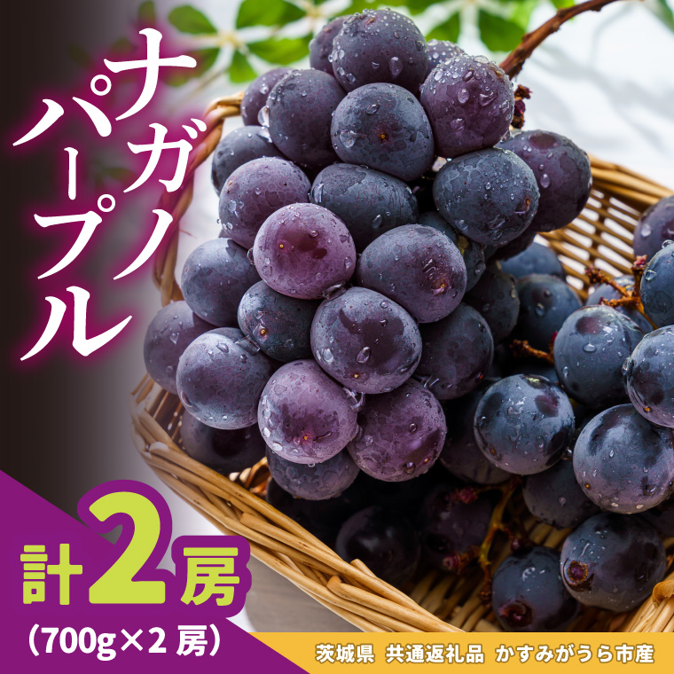 ナガノパープル700g×2房　県内共通返礼品かすみがうら市産