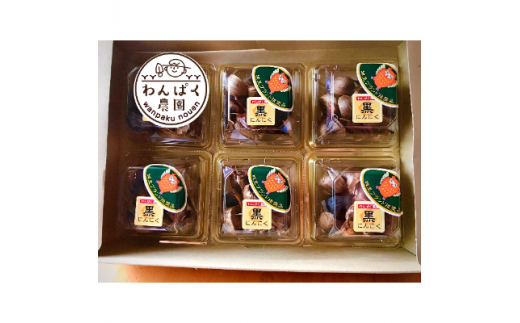 わんぱく農園の黒にんにく (BT001)