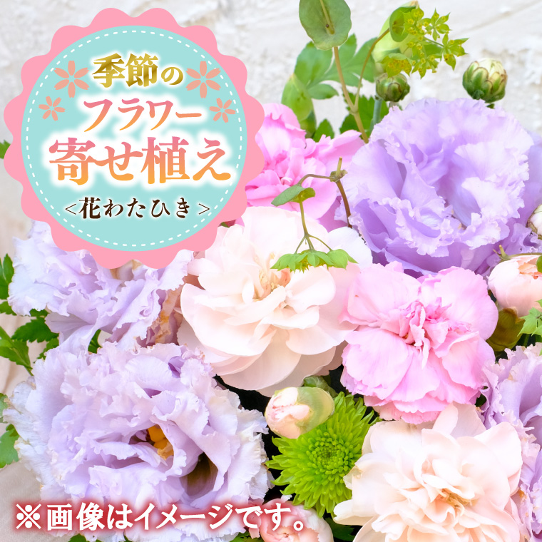 季節の寄せ植え＜花わたひき＞ (BY002)