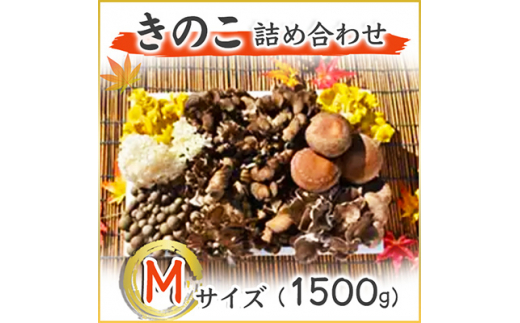 きのこの詰め合わせ　Mサイズ(1.500g) (AU001)