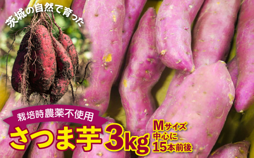 さつまいも　紅はるか　栽培期間中農薬不使用栽培　3kg (BJ0