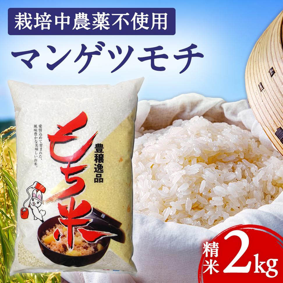 もち米 精米 2kg マンゲツモチ 栽培期間中無農薬 (BJ023)
