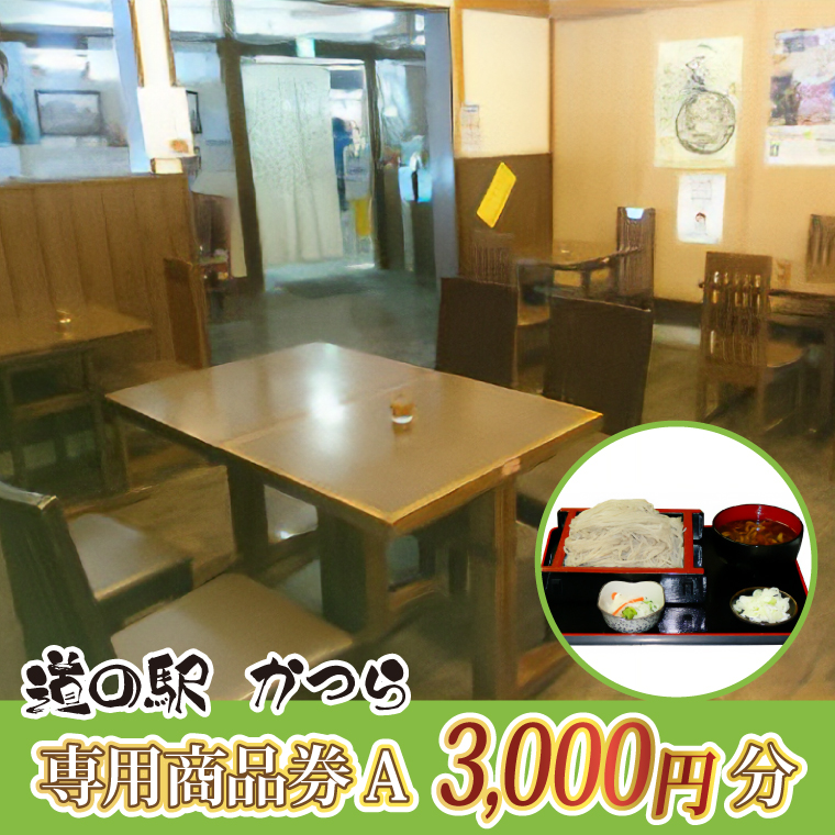 道の駅かつら専用商品券A　3,000円分(500円×6枚のセット) (AF00