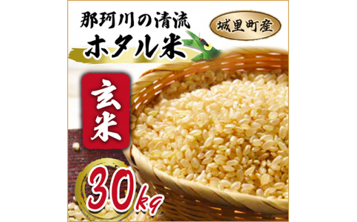 ★☆ 関東地方限定配送 ☆★ 那珂川の清流ホタル米 【玄米