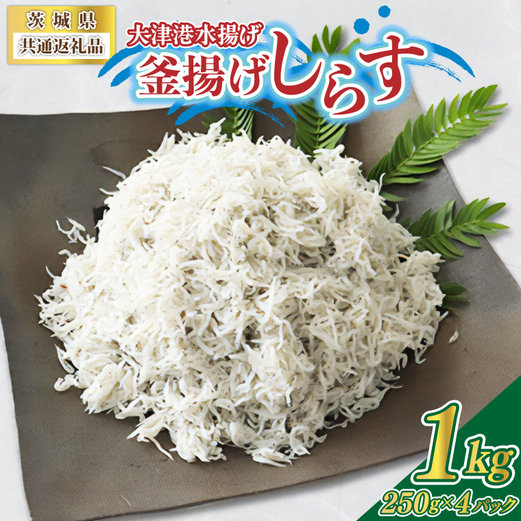 ＜茨城県共通返礼品＞大津港水揚げの釜揚げしらす 1kg(250g×