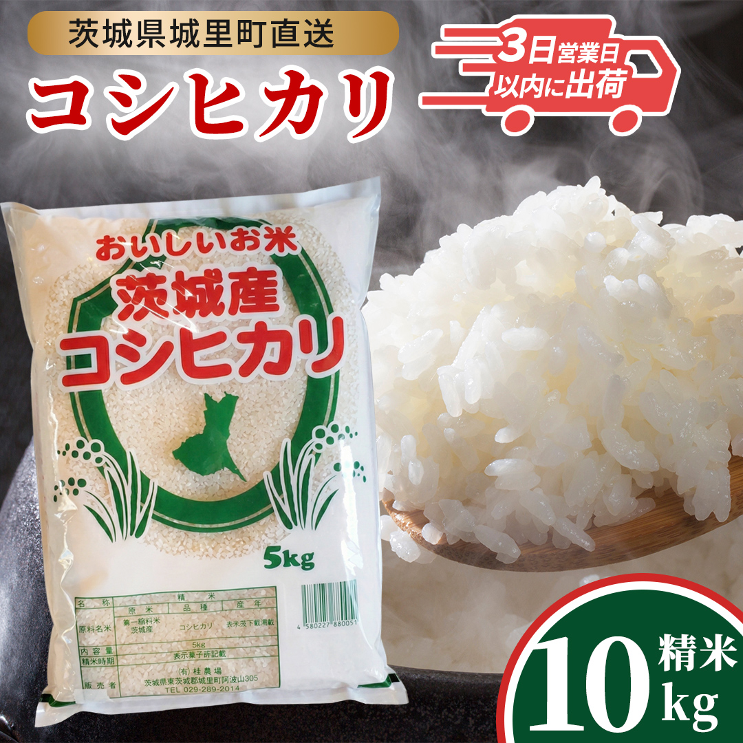 ＼最短3営業日以内出荷／  コシヒカリ 精米 10kg 令和7年産