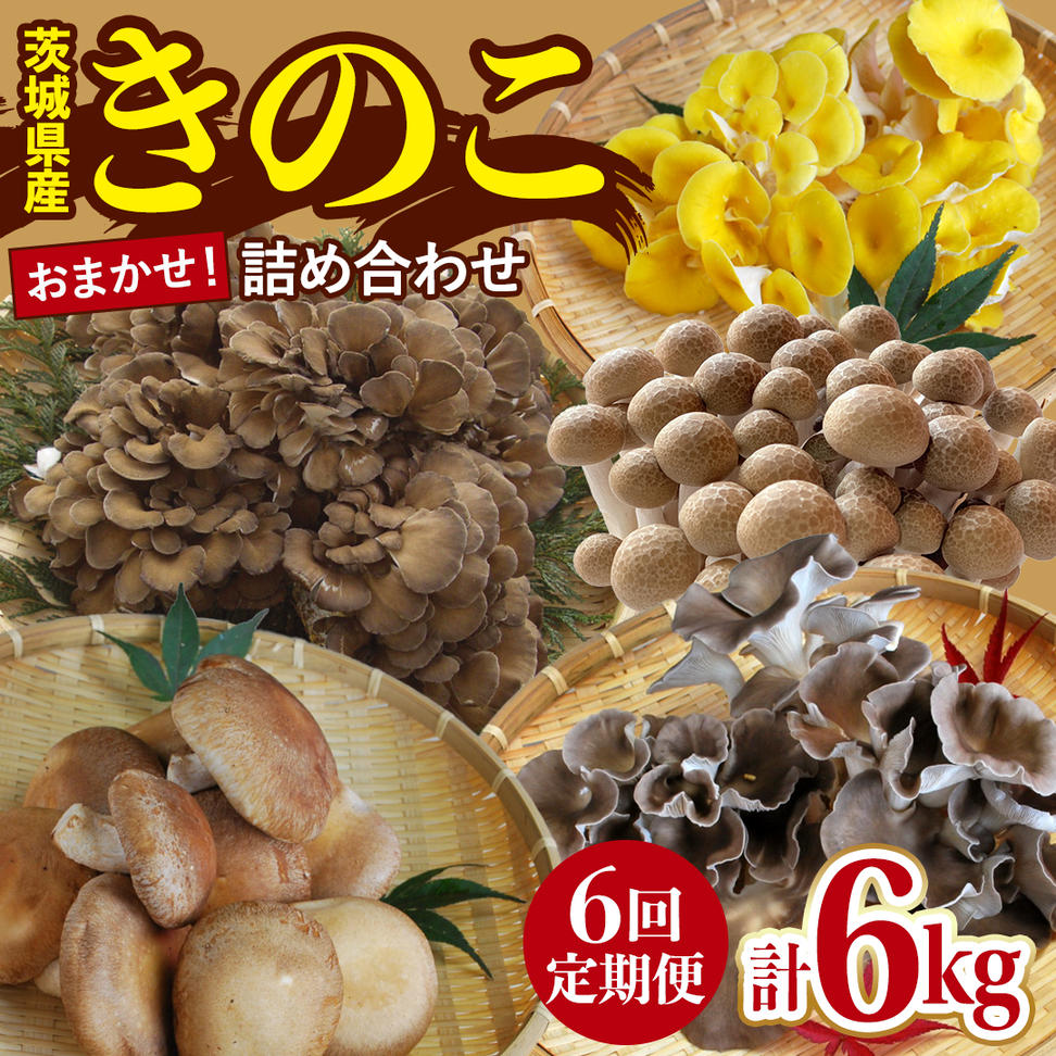 【 6ヶ月 隔月定期便 】 きのこ の 詰め合わせ Sサイズ 約1kg