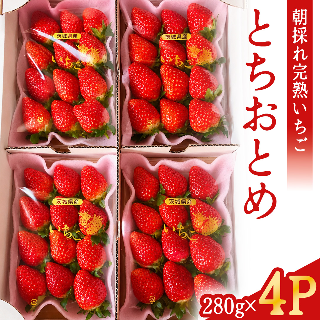 【2027年1月発送】 とちおとめ 約1kg （280g × 4パック）(BT002)