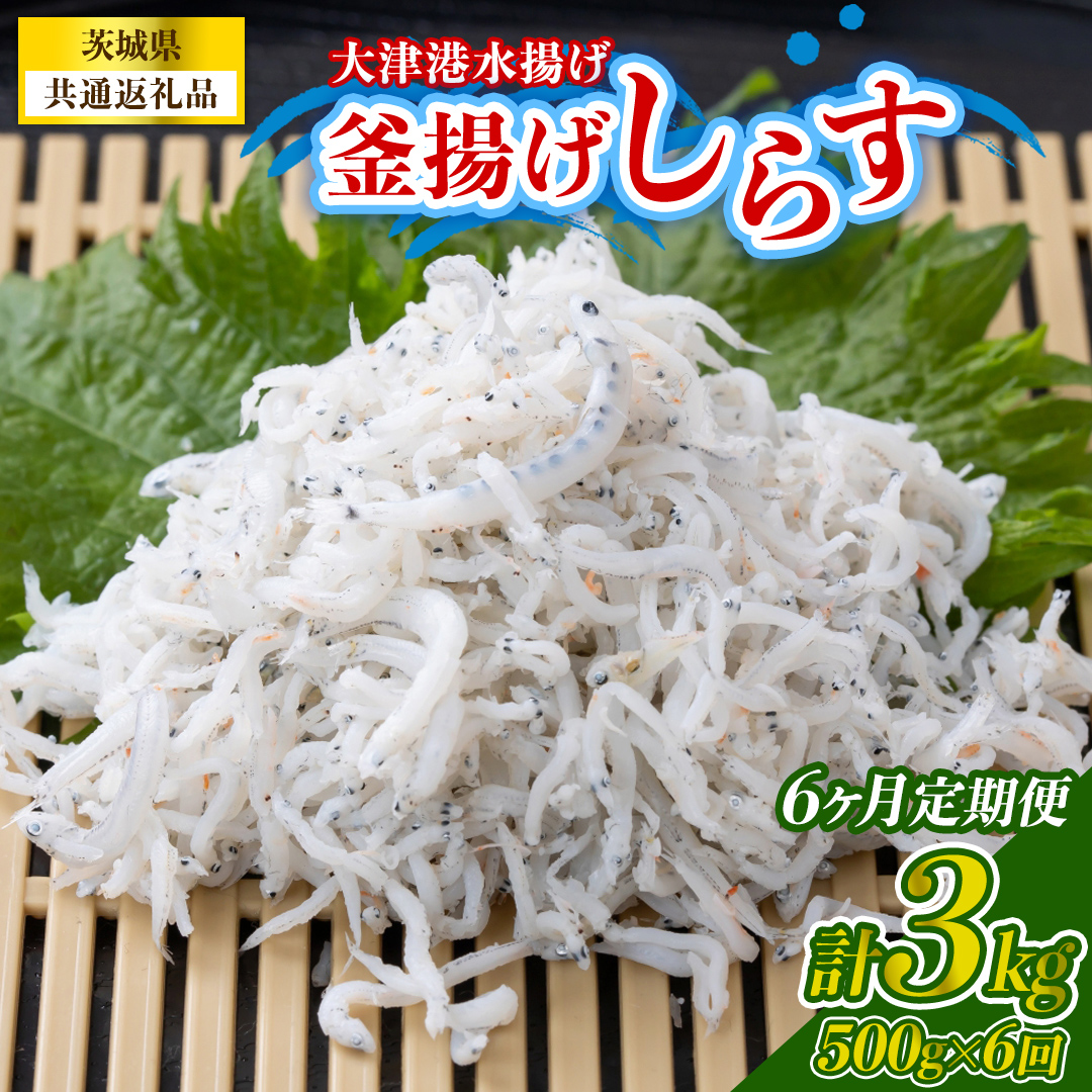 【6回定期便】大津港水揚げの釜揚げしらす 500g(250g×2パック