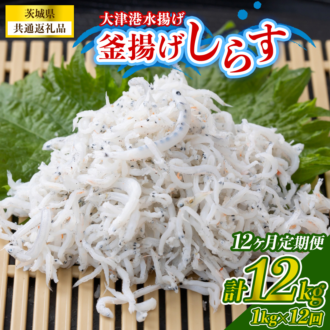 【12回定期便】大津港水揚げの釜揚げしらす 1kg(250g×2パック