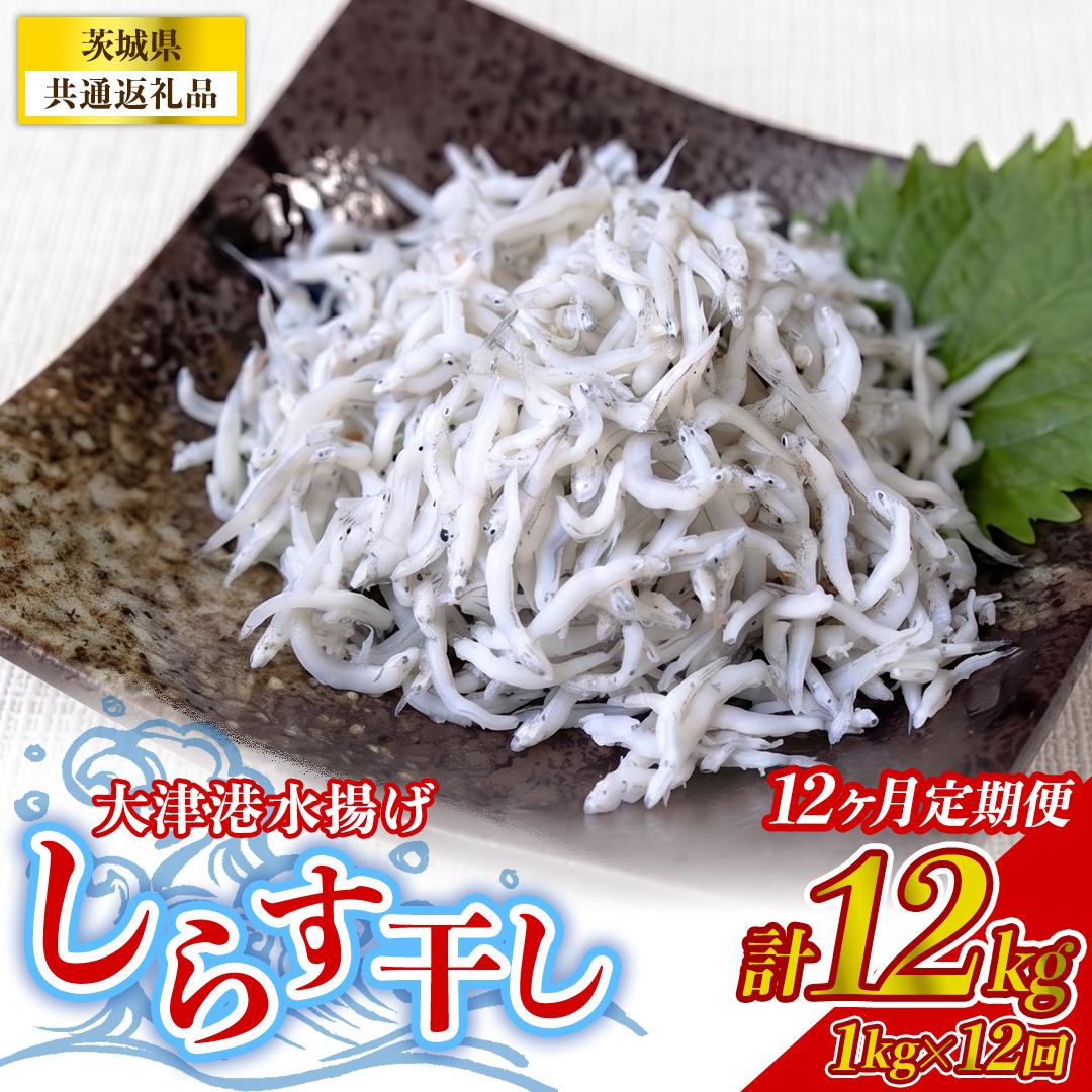 【12回定期便】大津港水揚げしらす干し 1kg(250g×2パック×2箱