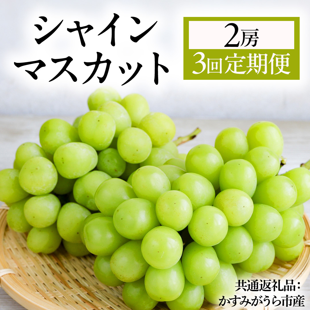 【3回定期便】 シャインマスカット 2房  (県内共通返礼品:か