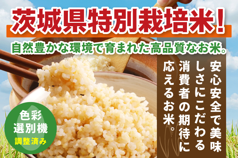 【6ヶ月定期便】令和7年産 茨城県特別栽培米コシヒカリ ネオニコフリー玄米5㎏｜米 おこめ こしひかり 農家直送 直送 茨城県 阿見町（04-32）