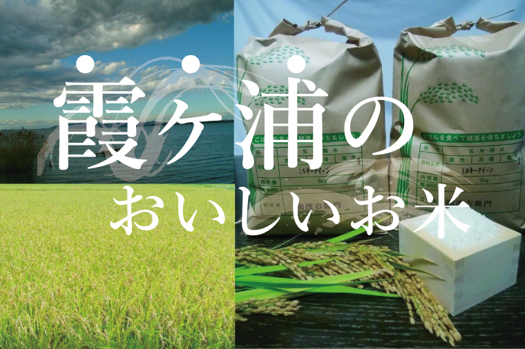 「茨城県産 茨城県産米」「霞ヶ浦のおいしいお米」令和7年産ミルキークイーン10kg【米 ごはん 霞ヶ浦 茨城県 阿見町】（13-01-2）