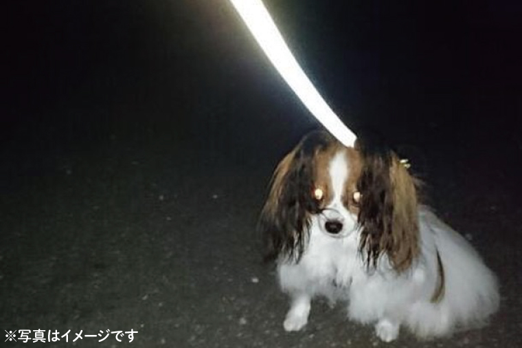 『オレンジレッド』反射材の光る犬用リード【小型犬5kg用】【散歩 愛犬 夜散歩 阿見町 茨城県】(40-06)