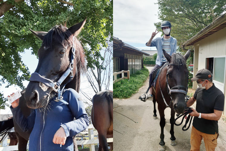 43-01 ヒポトピア １回騎乗券【乗馬 ホースセラピー 馬 ふれあい レッスン 阿見町 茨城県】