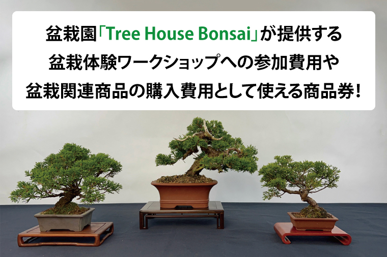 商品券【盆栽体験ワークショップ参加及び樹木、鉢等の関連商品購入に利用】【盆栽 ワークショップ 阿見町 茨城県】（64-01）