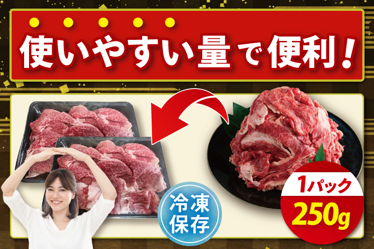 【茨城県共通返礼品】【12ヶ月定期便】お試しサイズ！常陸牛切り落とし 250g【黒毛和牛 国産 銘柄牛 牛肉 肉 冷凍 茨城県産】(81-25)