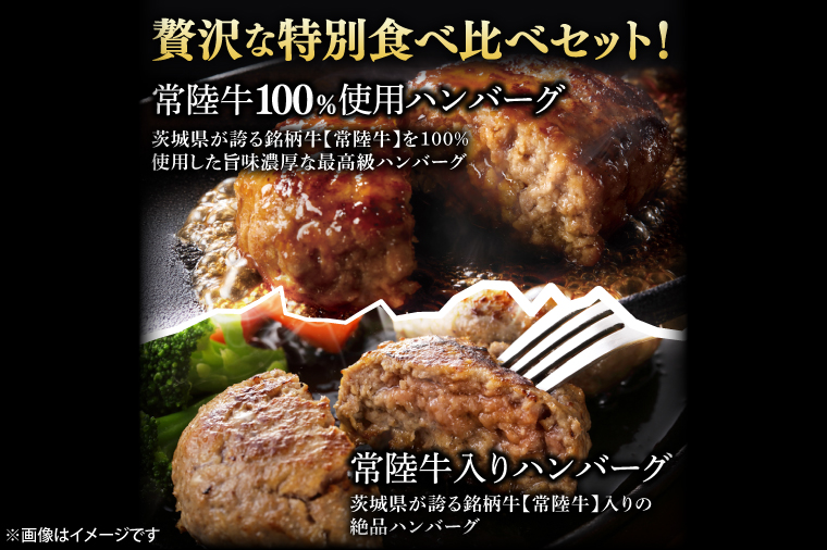 【茨城県共通返礼品】常陸牛100％ vs 常陸牛入りハンバーグの食べ比べセット （計10個入り）【黒毛和牛 牛肉 銘柄牛 真空 小分け 個包装 冷凍 茨城県 阿見町】(81-47)