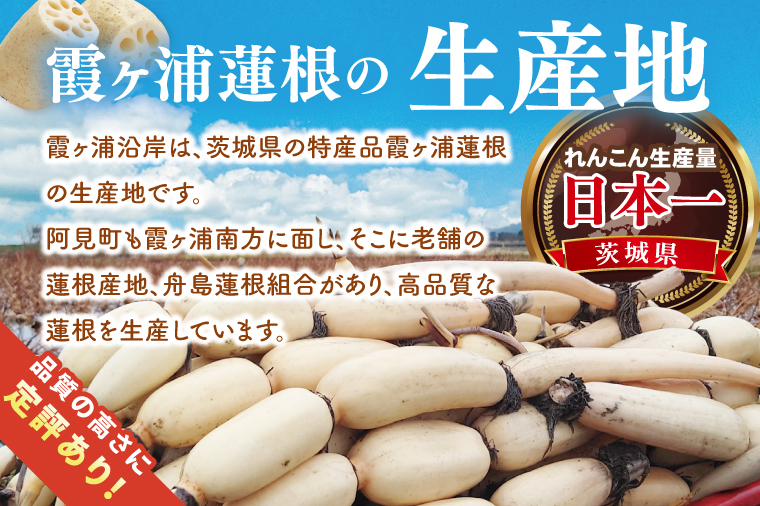 【特選】ふなしま蓮根（4kg箱）3～6本｜レシピ 高品質 幻の蓮根 老舗 希少品種 柔らかい (82-01-1)