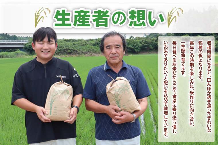 【12ヶ月定期便】茨城県産コシヒカリ　精米　10kg｜精米 定期便 お米 米 こめ コメ ごはん 白米 阿見町 茨城県 茨城県産 茨城県産米 安心 安全 送料無料 国産 人気 数量限定 高評価（85-159）
