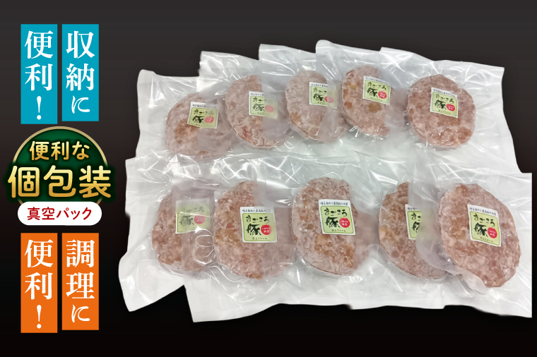 【茨城県共通返礼品】国産まごころ豚ハンバーグ100g×10個【高品質 豚肉 銘柄豚 ブランド豚 人気豚肉 個包装 冷凍 茨城県産 阿見町】(92-01)